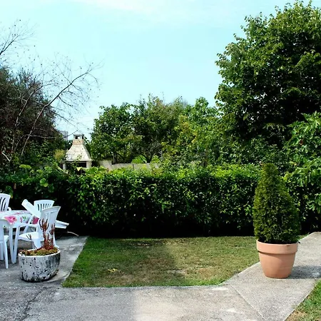 Spring Apartment Apartment *