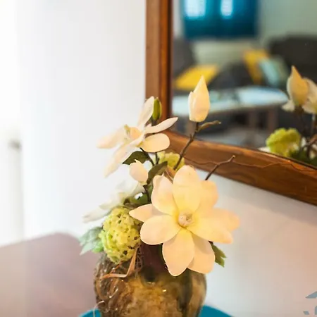 Spring Apartment Apartment
