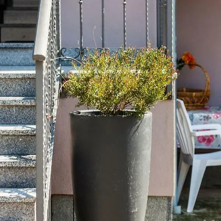 Spring Apartment